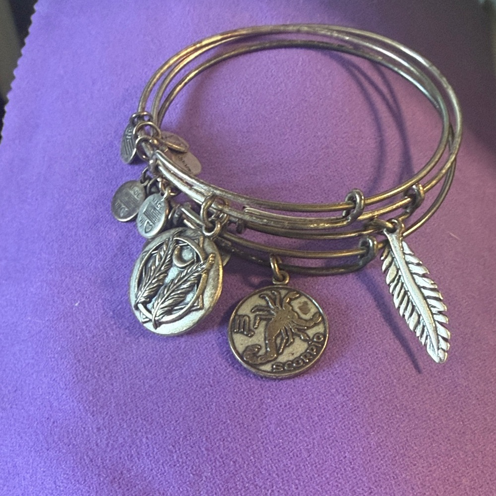 Alex and Ani Silver-Tone Charm Bangle Bracelet with Feather and Coin Charms